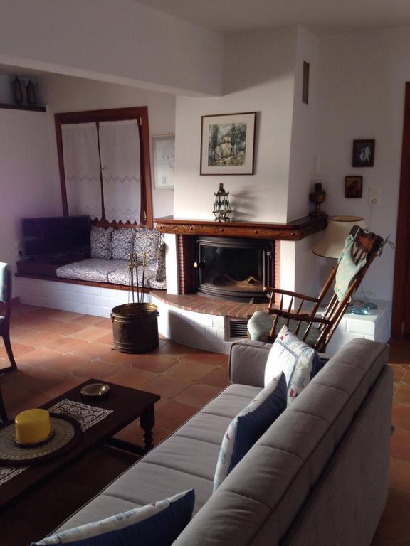 Pleoussa Studio And Apartments Skopelos Dış mekan fotoğraf