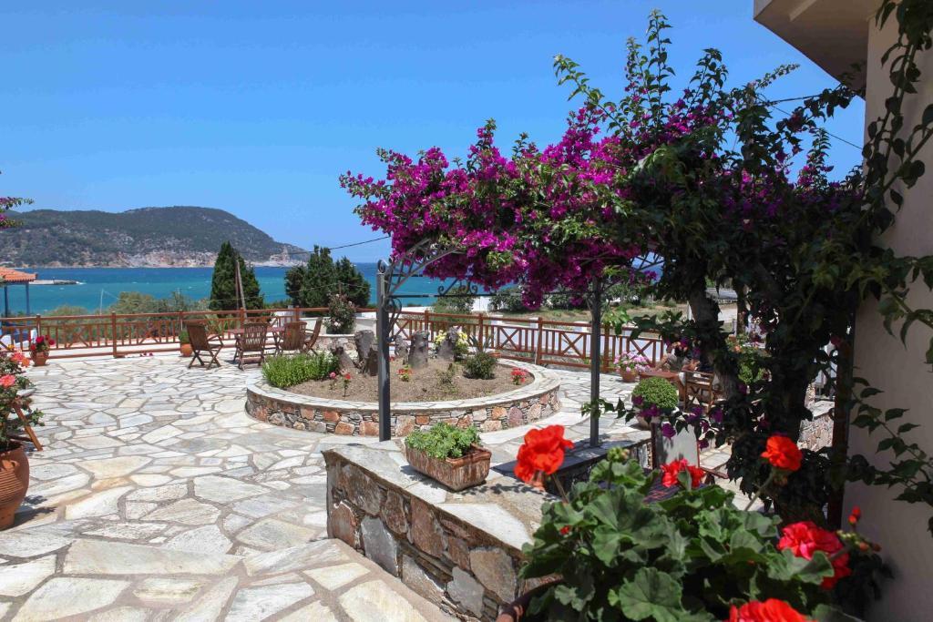 Pleoussa Studio And Apartments Skopelos Dış mekan fotoğraf